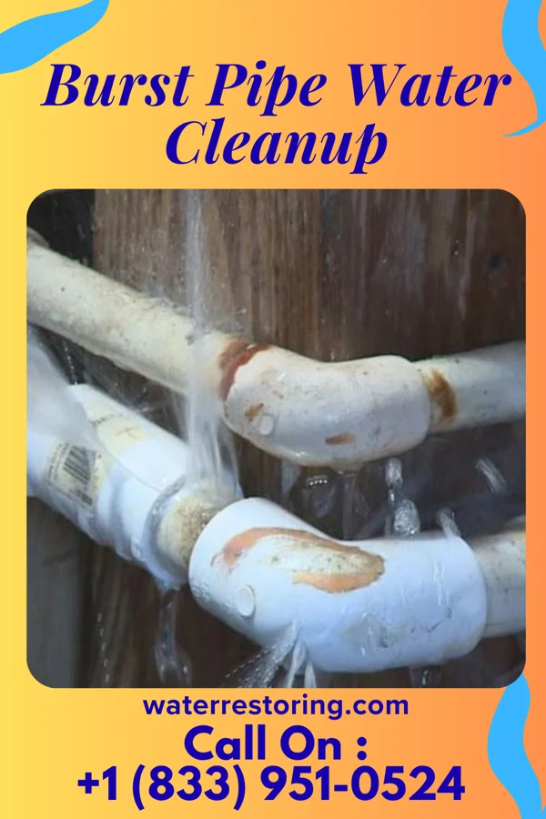 Burst Pipe Water Cleanup in Carlisle, OH